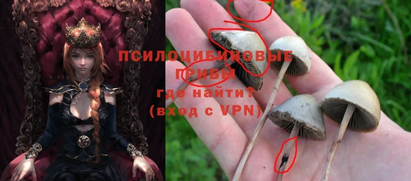 амф Алзамай