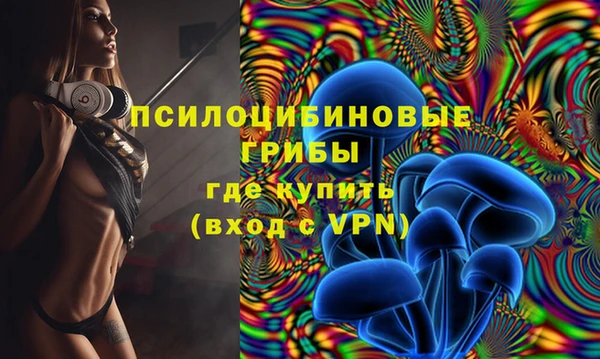 амф Алзамай