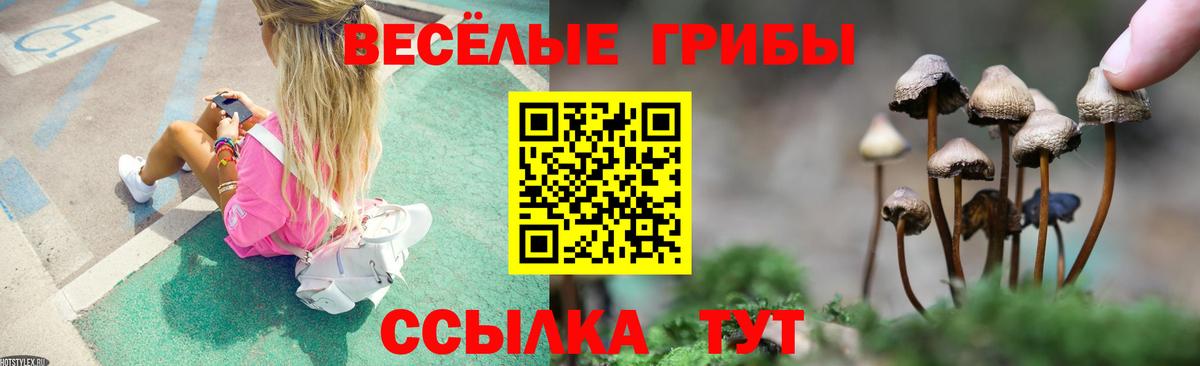 Томск  Галлюциногенные грибы мухоморы  Вход с VPN  Галлюциногенные грибы мицелий 